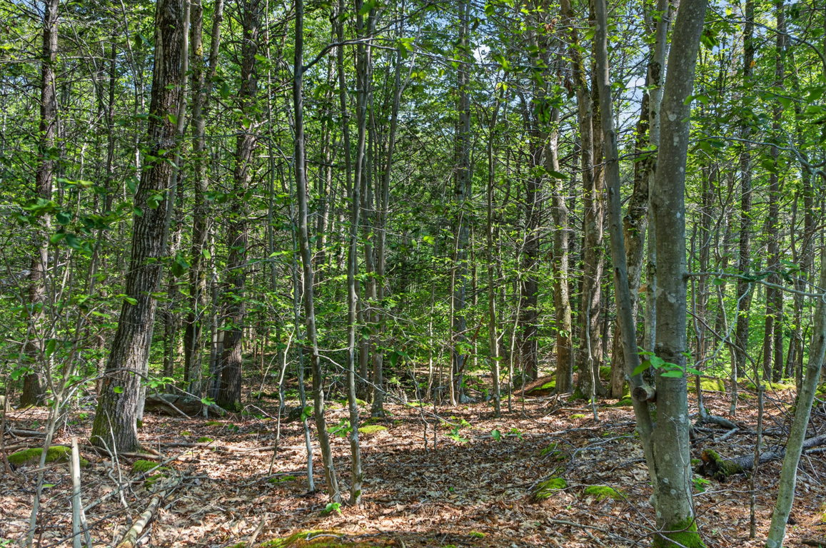 81 Mountain Road York