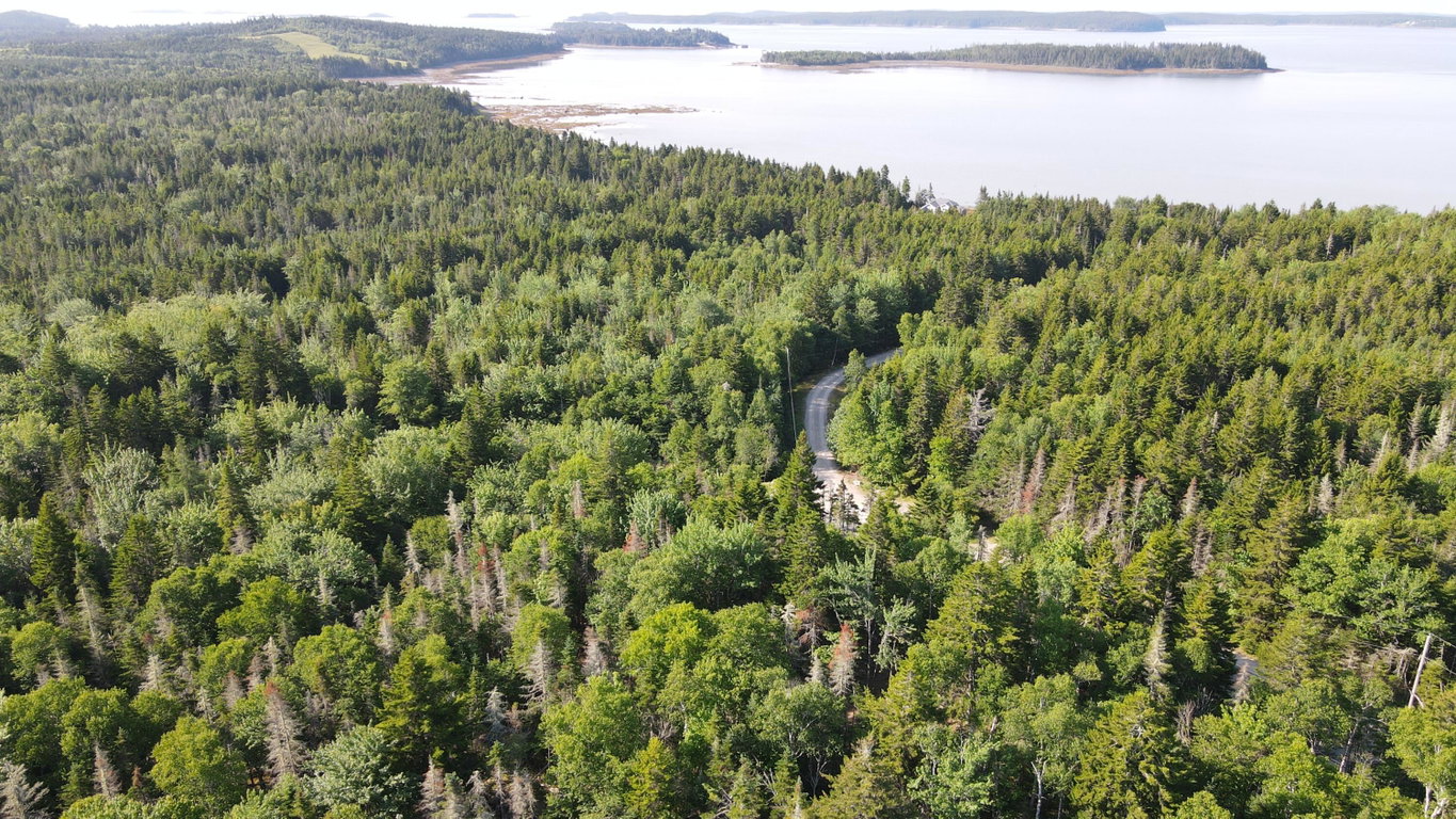 M6L21 Great Cove Road Roque Bluffs