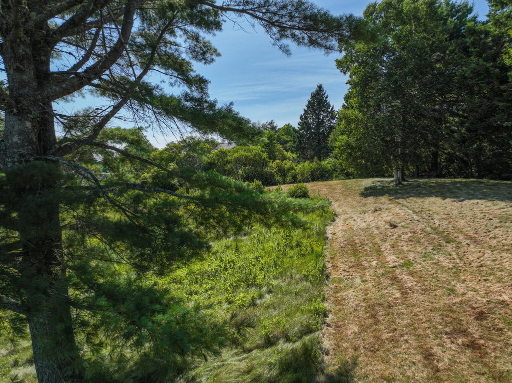 DJI_0839