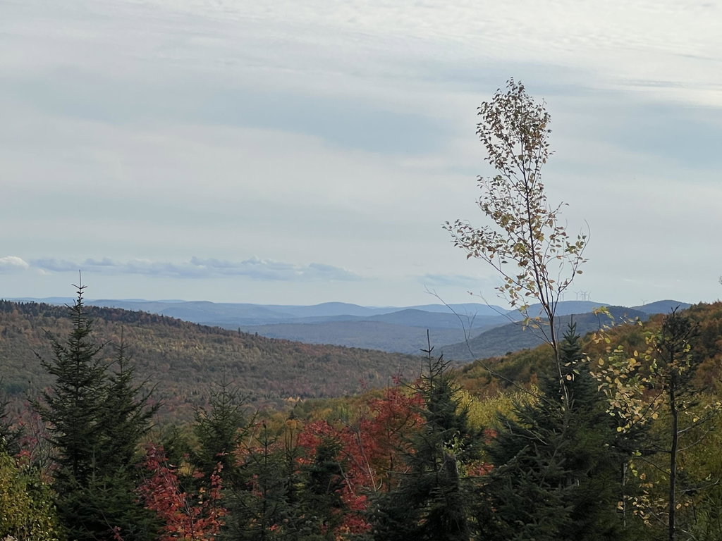 5W Mountain View Drive Temple