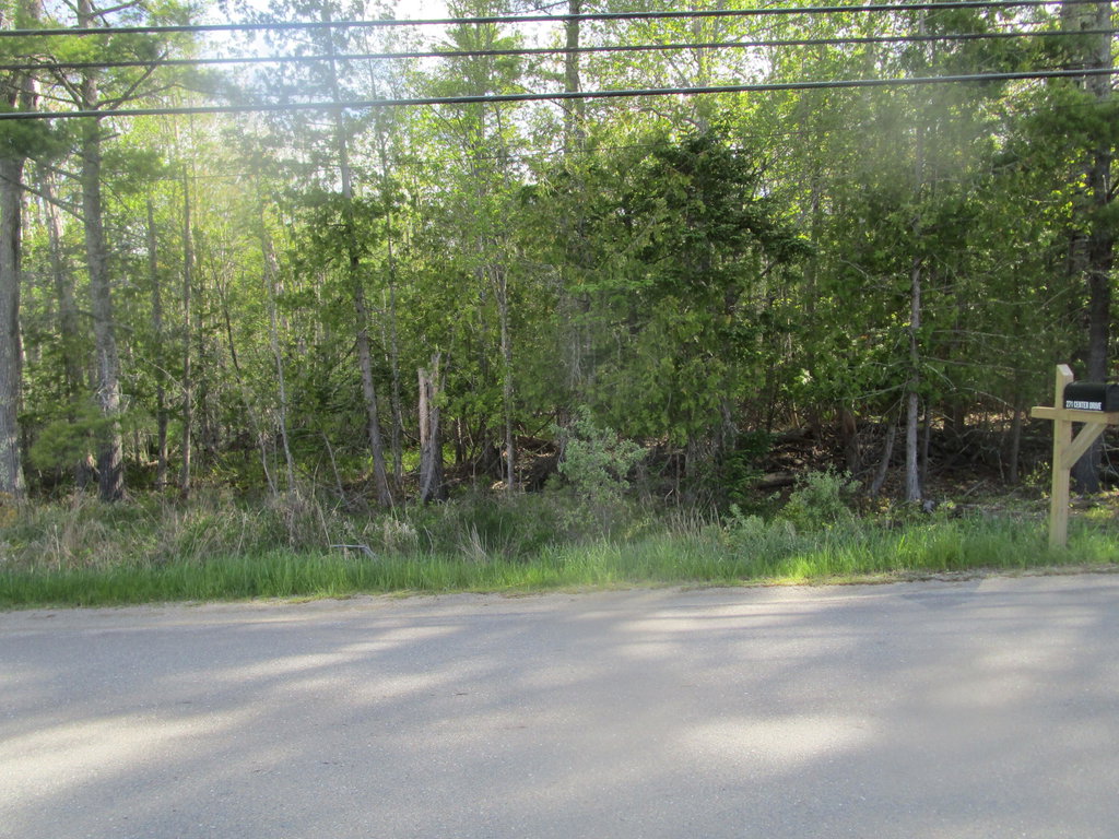 Lot 098-E Center Drive Orrington