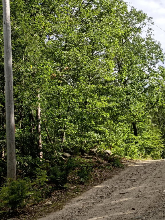 R13/038 Weeks Road Parsonsfield