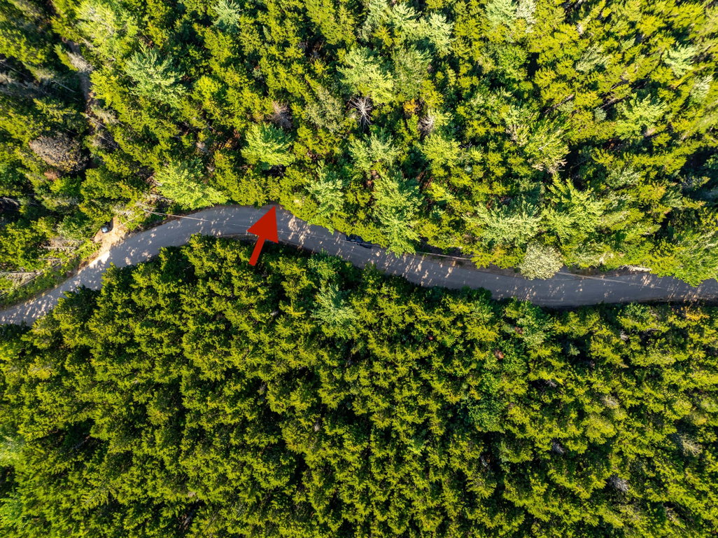 Paul Bunyan Rd