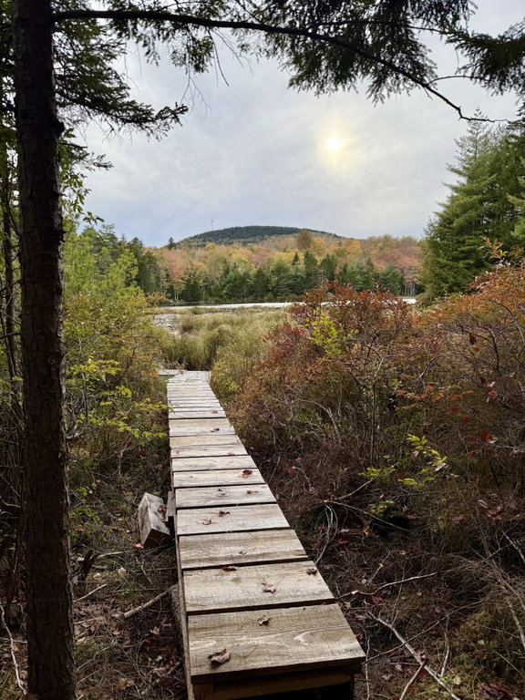 Pine Hill in Fall
