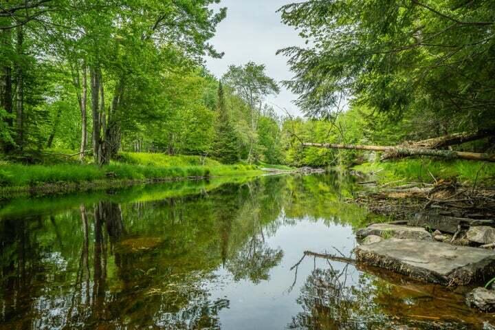 Lot 88-2 Appleton Ridge Road Searsmont