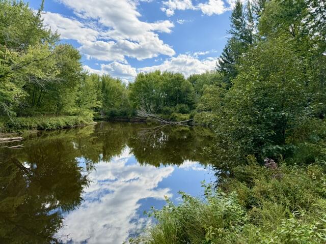 000 Long Falls Dam Road Lexington Twp