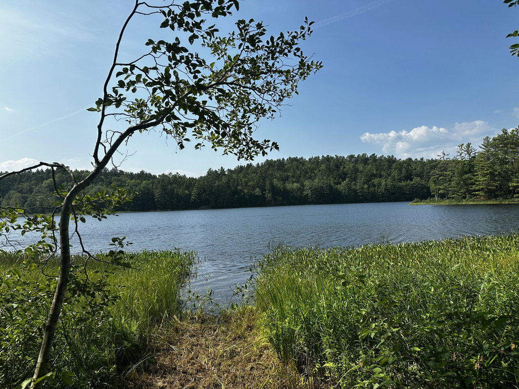 Lot 005 State Route 46 Route Bucksport
