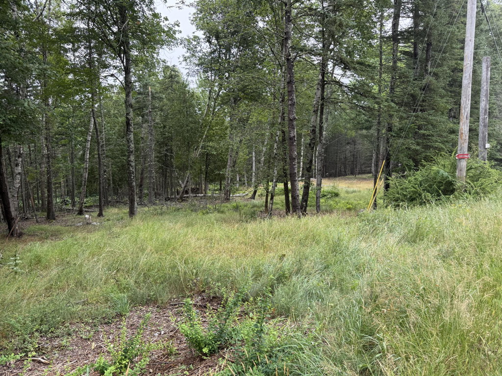 1236 Meadow Pond Road Islesboro