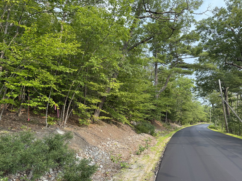 Lot 15-3B Sweden Road Bridgton