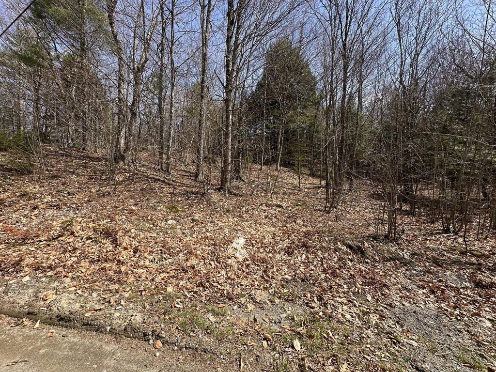 Lot 2 Filaroska Road New Sharon