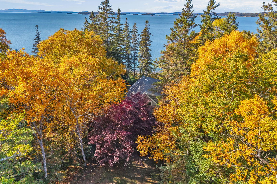 77-web-or-mls-11-colwell-ln