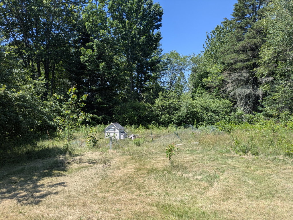 PXL_20260708_173120963