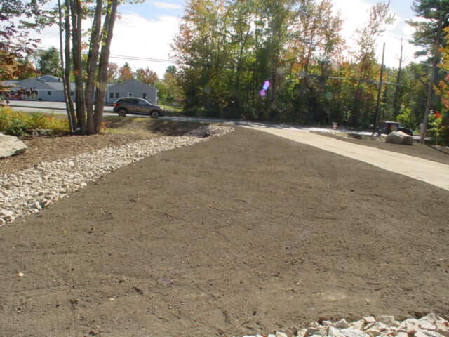 Front yard 2