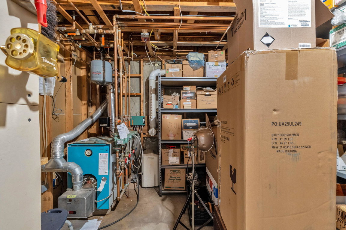 Basement Storage & Utility