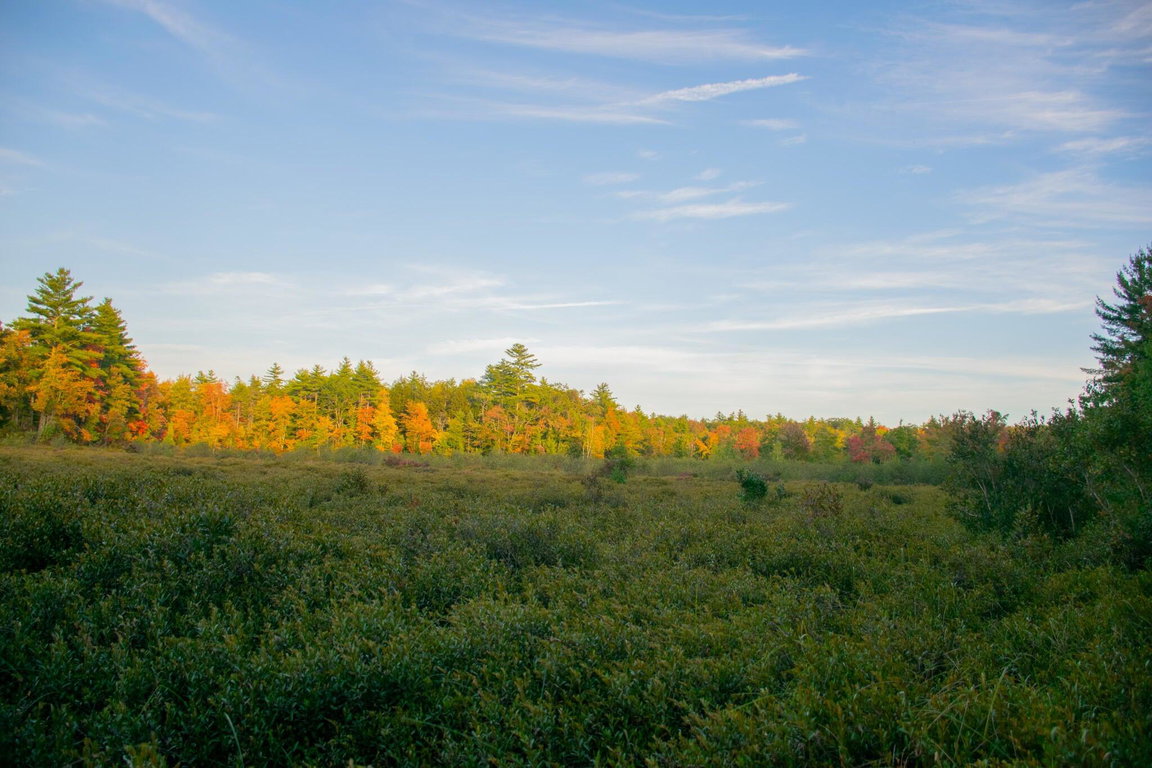 TBD New Dam Road Waterboro