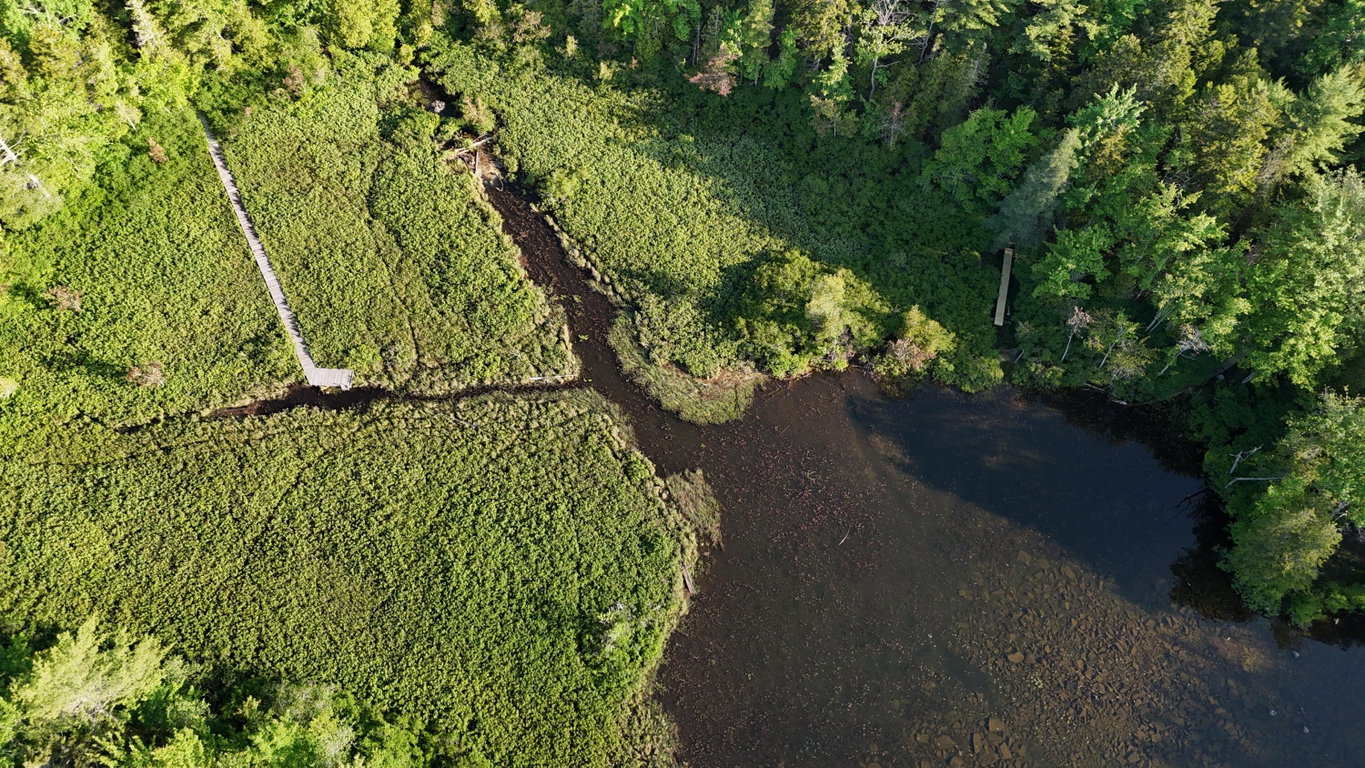 DJI_20250621065729_0010_D