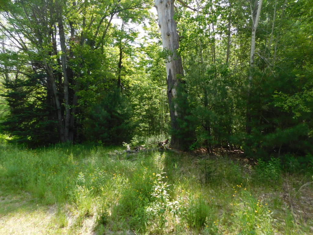 244 Canaan Road Hartland