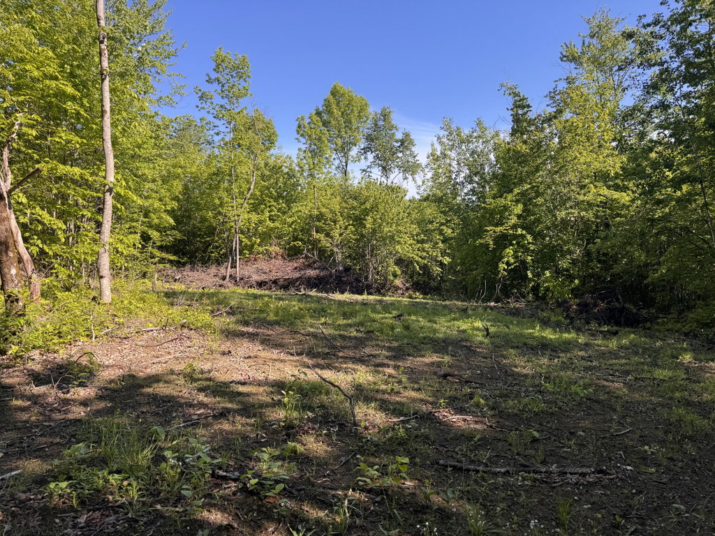 Lot 47 Beans Corner Road New Sharon