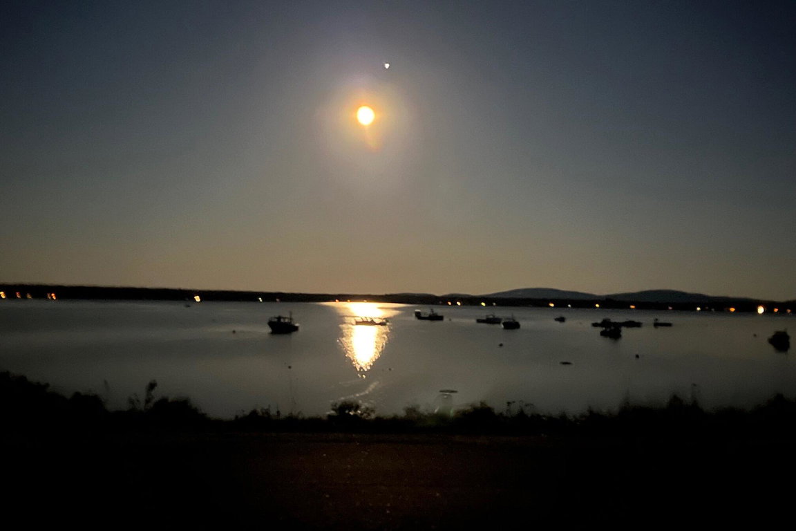 1035newburyneck_m - 3