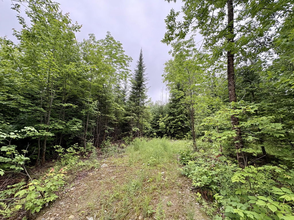 Lot 1 Mt. Jefferson Heights Lee