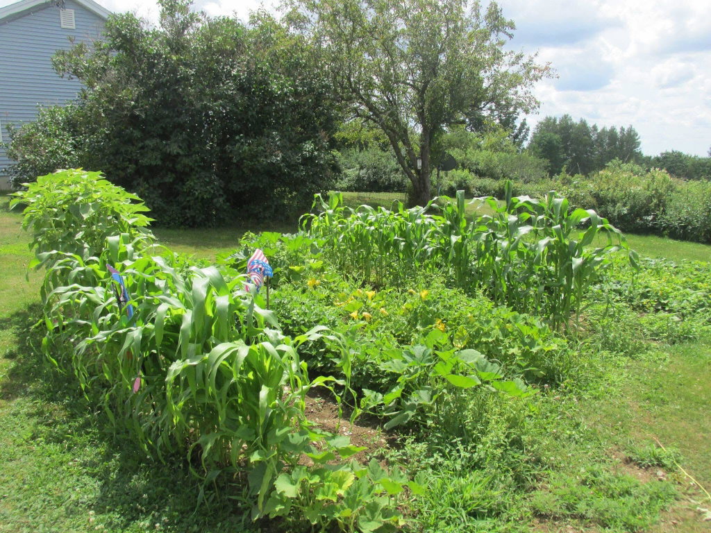 Garden area
