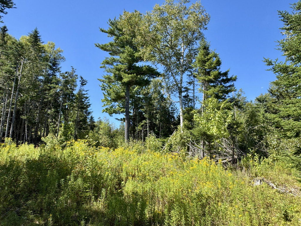 Lot 13 Red Rock Estates Pembroke