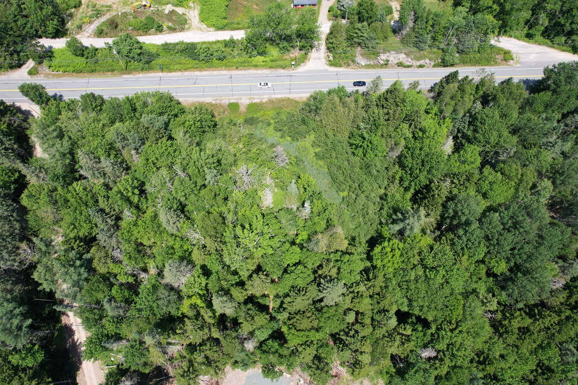 View from directly above