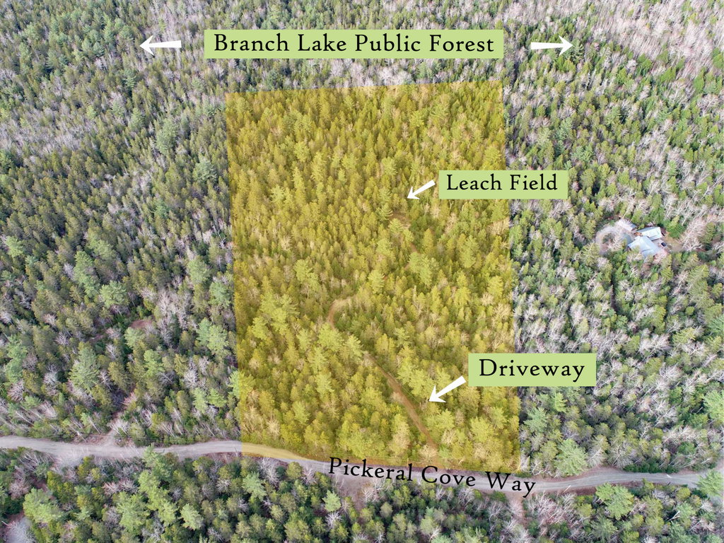 Aerial (6), label