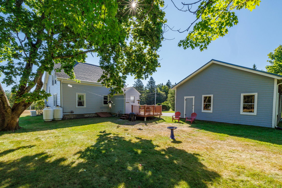 Back Yard Area