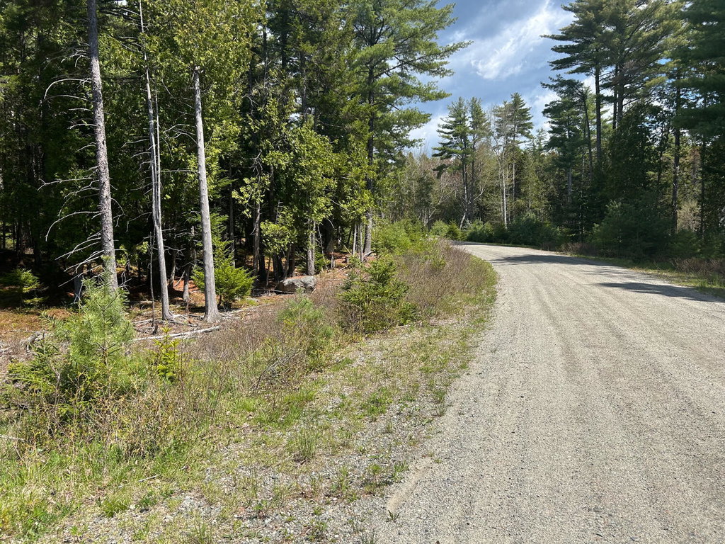Blagden rd