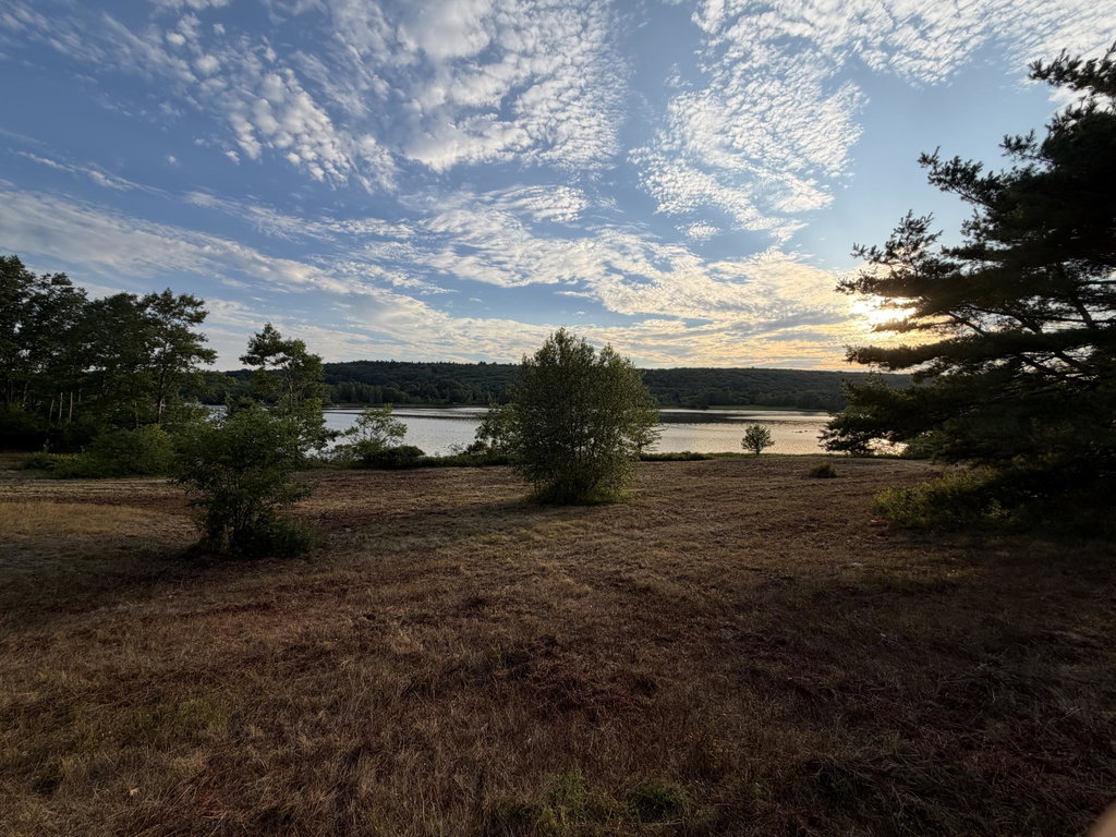 IMG_3317