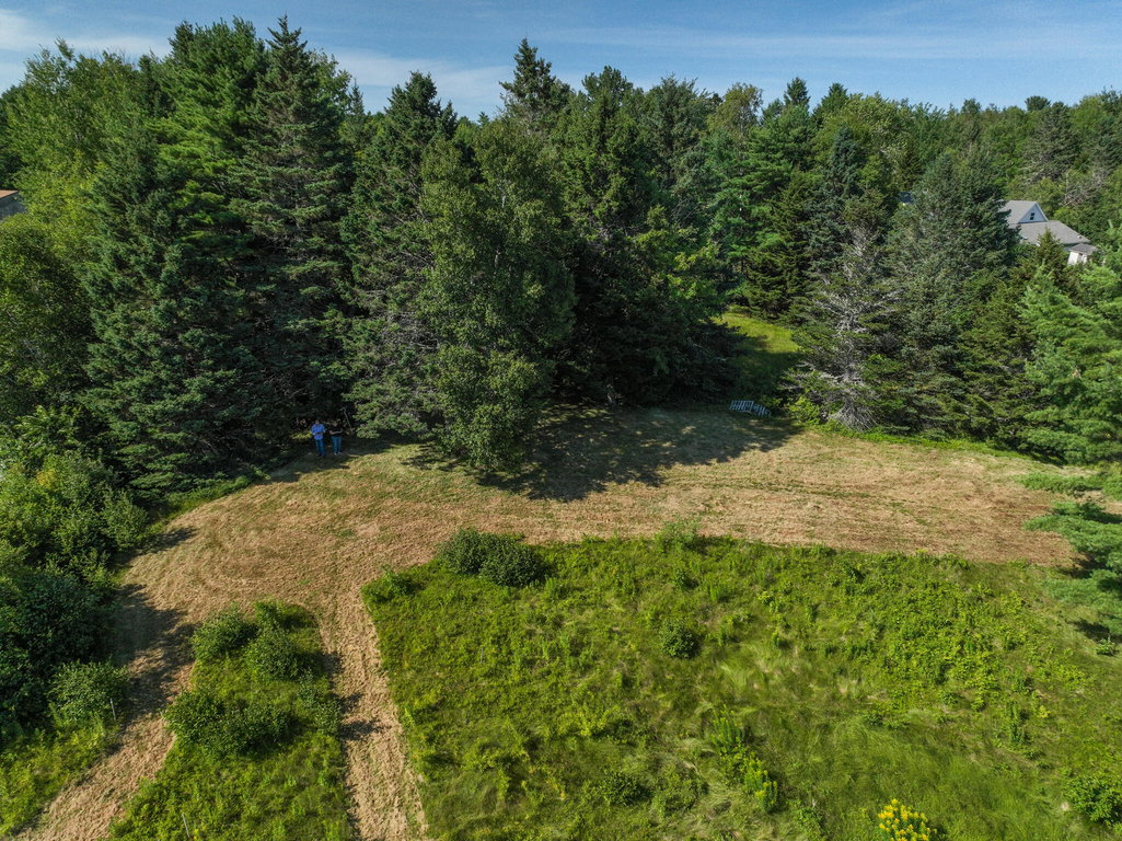DJI_0879