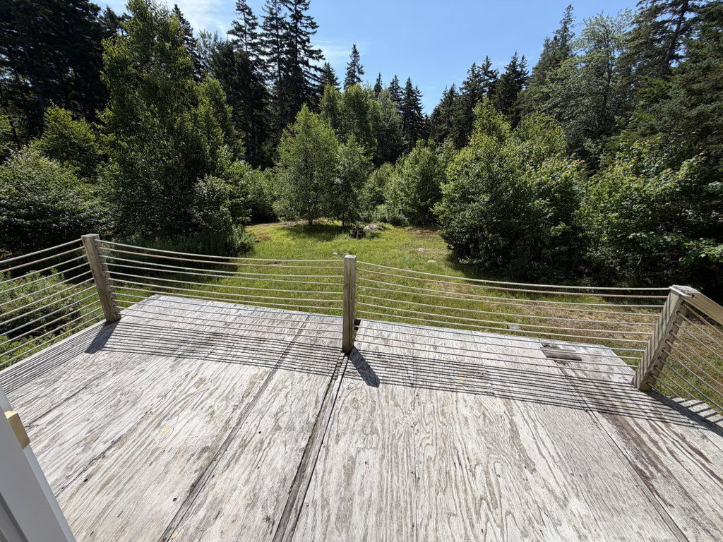 back deck view