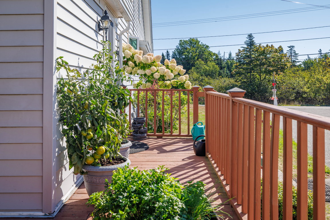 Deck Off The Home