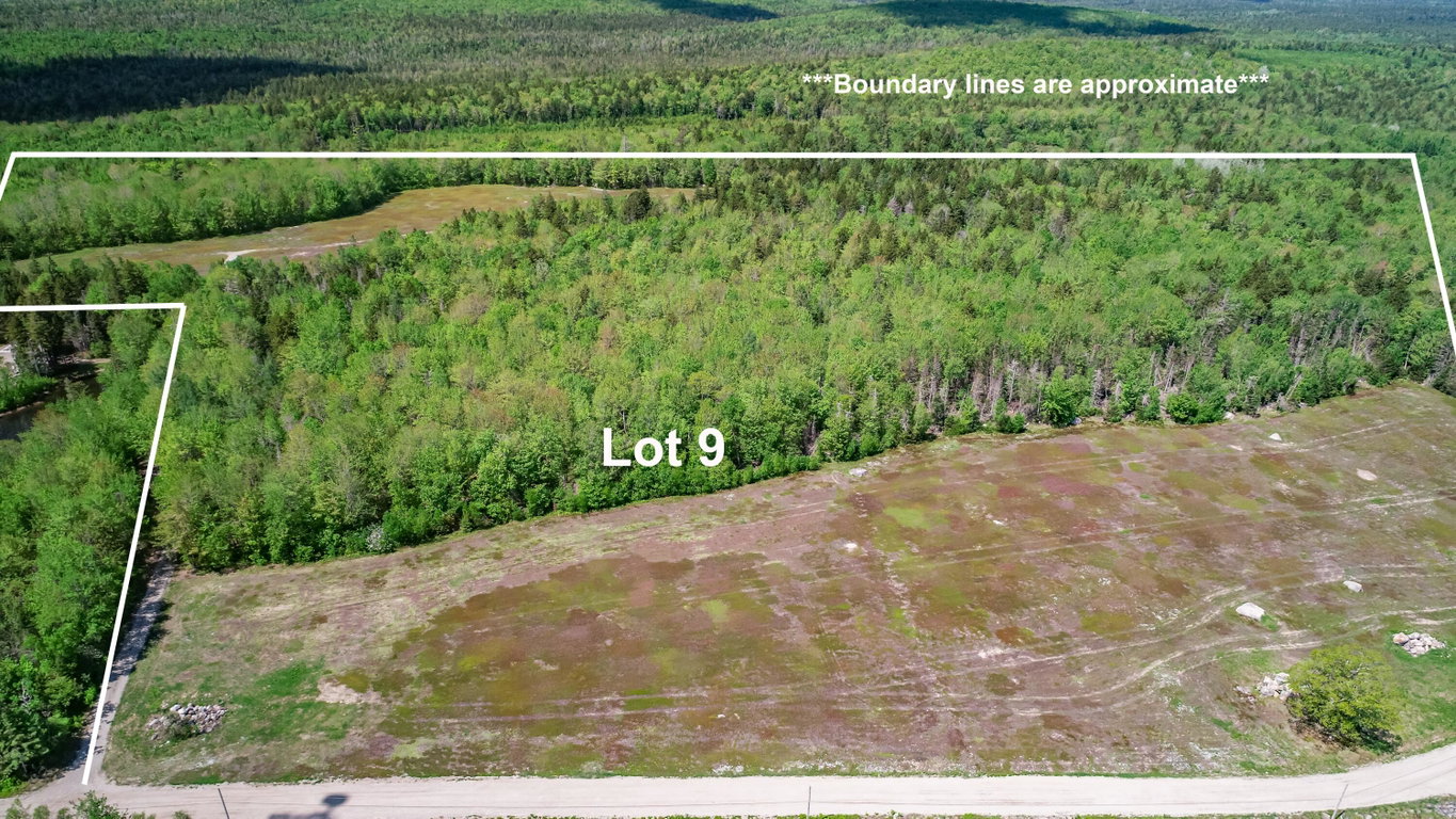 Lot 9