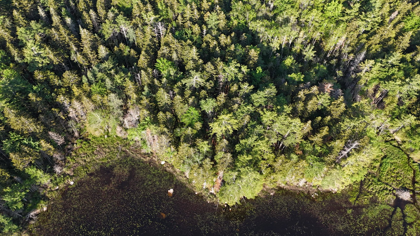 DJI_20250621070051_0022_D