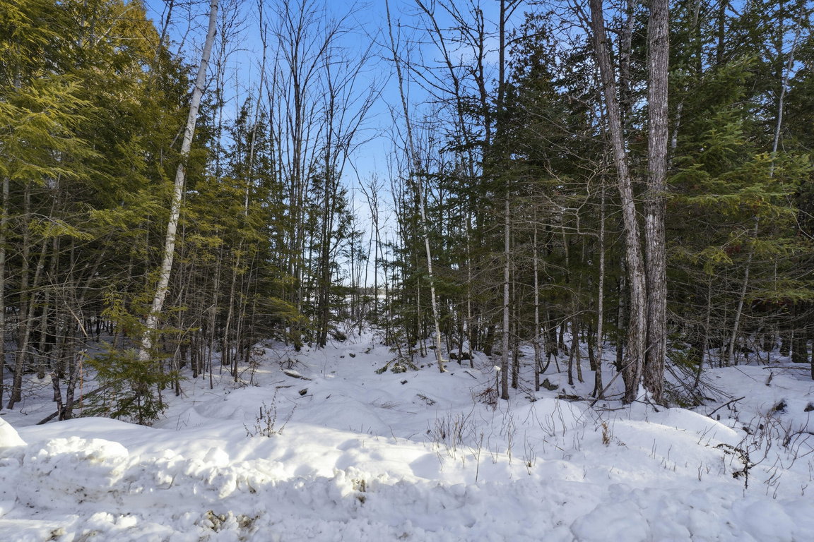 Map 44 Lot 5 Cedar Breeze  Glenburn