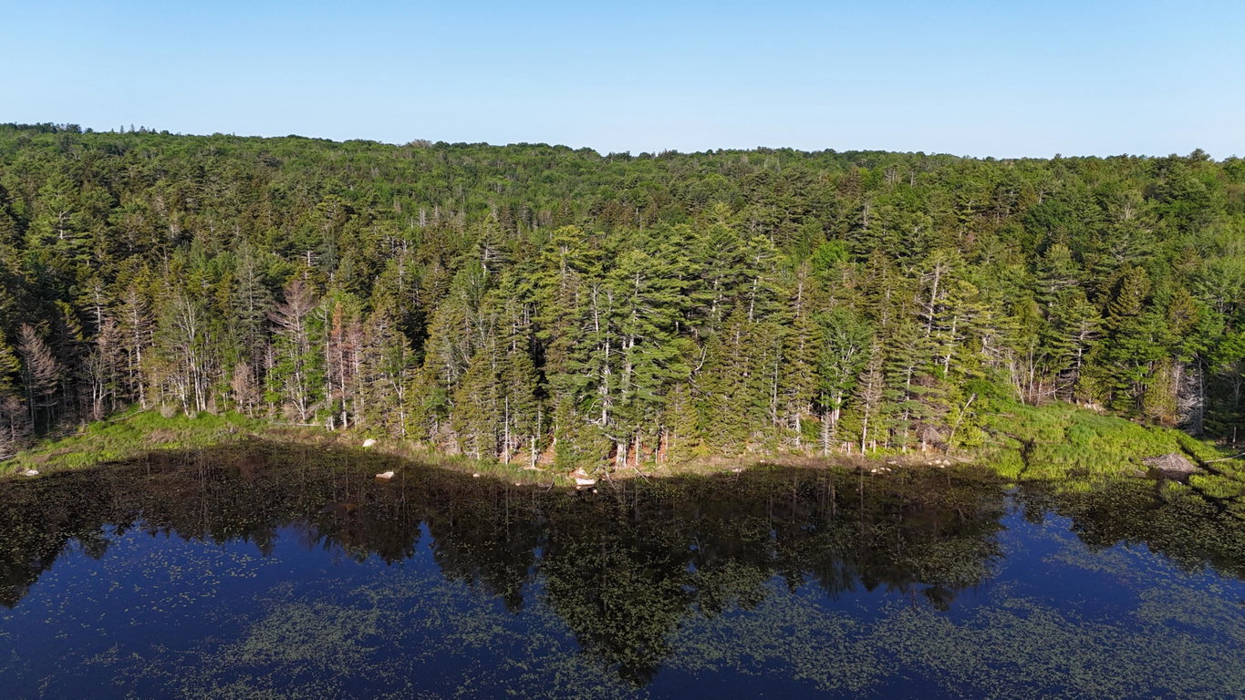 DJI_20250621070128_0025_D