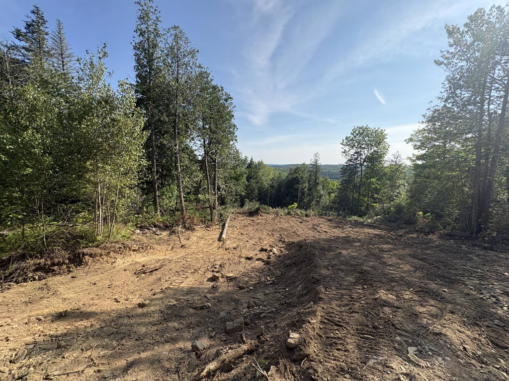 Lot 12 Mt. Jefferson Heights Lee