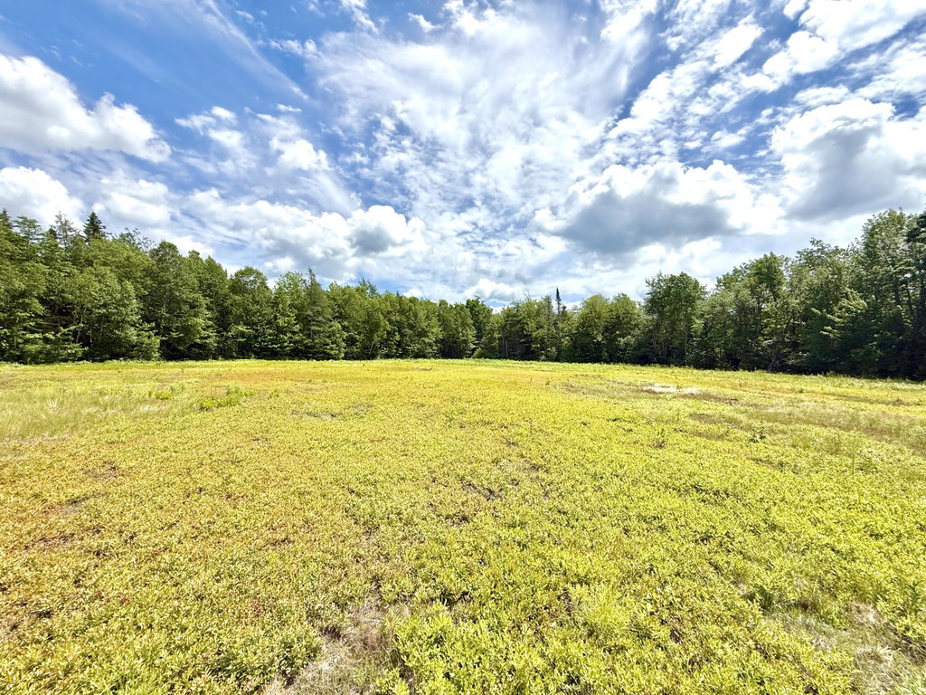 Lot 9