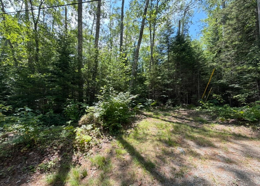 Lot 23 Webb Pond Rd