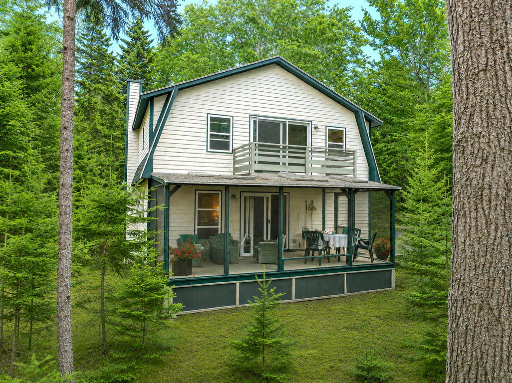 Porch Side Woods