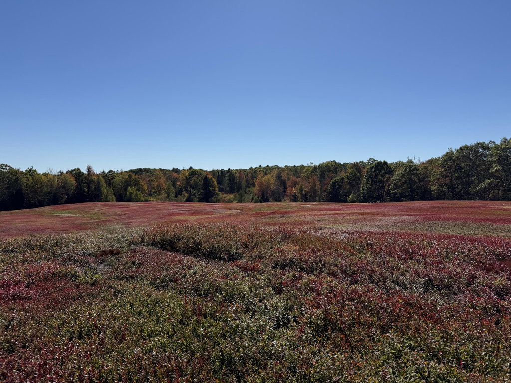 MAP 31 LOT 29