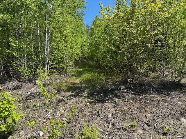 Lot 4 Mt. Jefferson Heights Lee