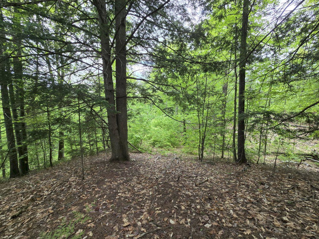 Lot 10C Staples Pond Road Temple