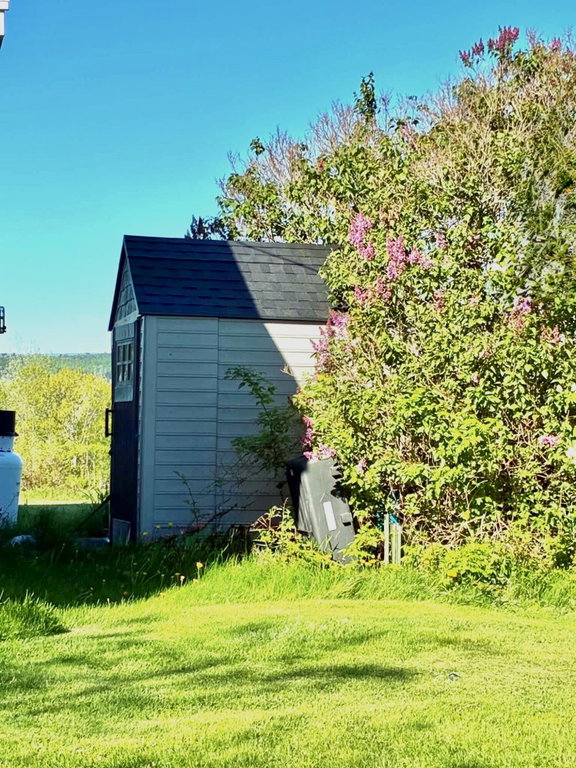Shed