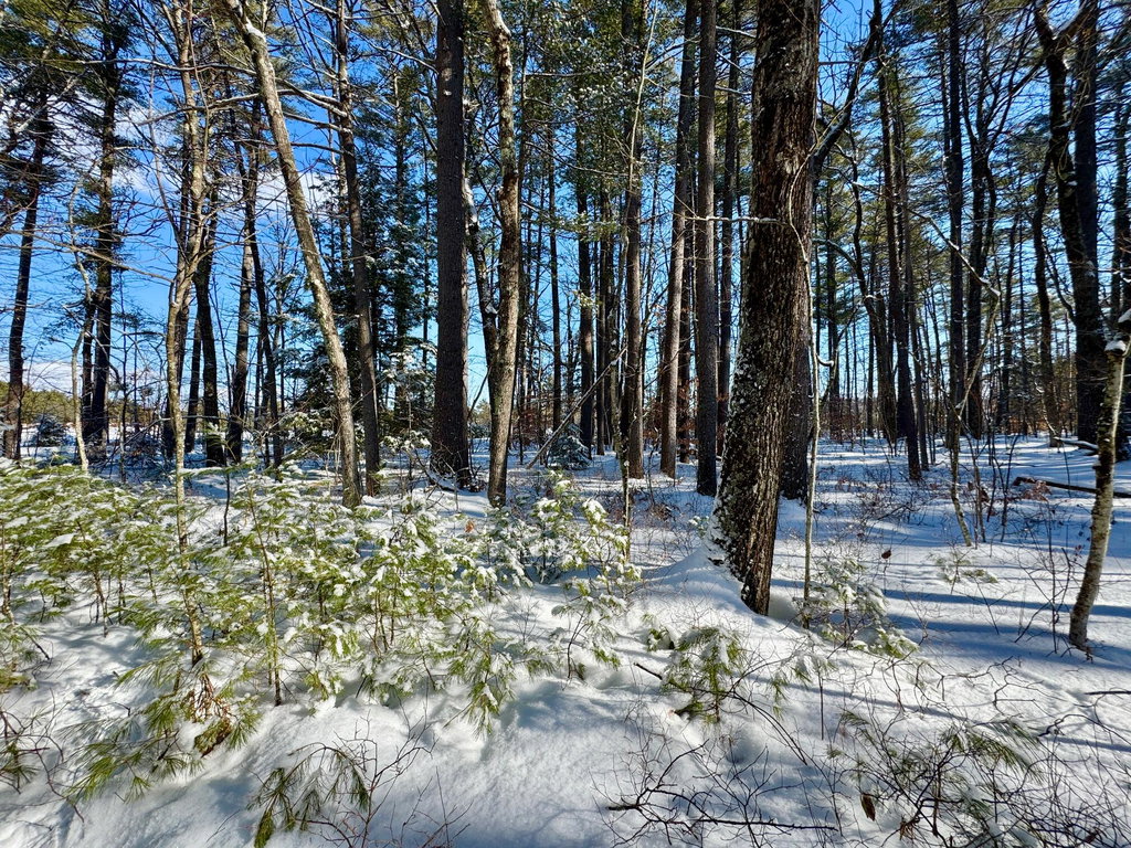 TBD Swans Falls Road Fryeburg
