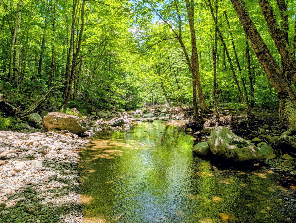 Lot 42 Beech Hill Road Madrid Twp