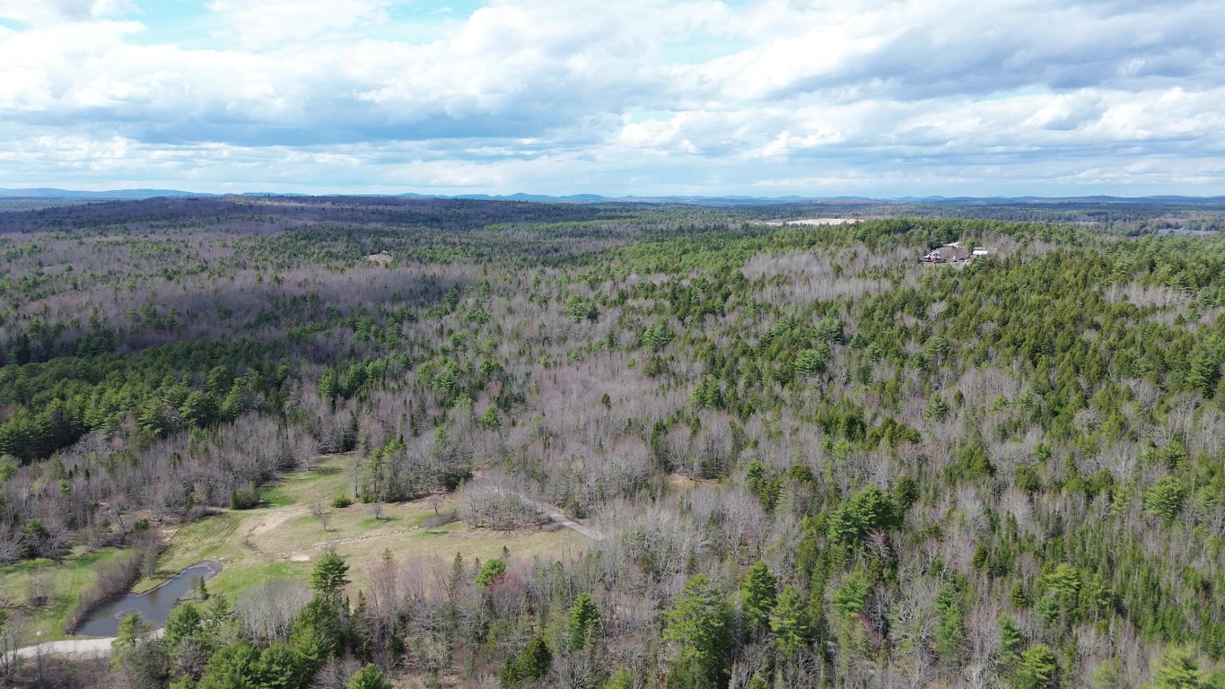 Wooded lot