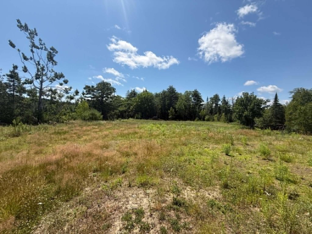 Lot123-E Center Drive Orrington